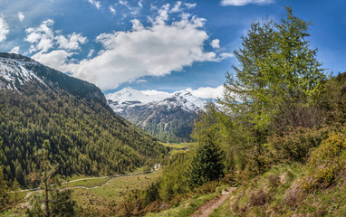 Fototapeta na wymiar Wanderweg in Südtirol