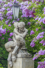 Faun Statue, background of blooming lilacs,Lazienki in Warsaw © stepmar