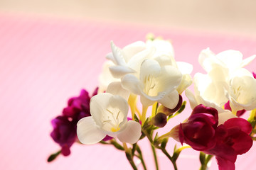 Naklejka na ściany i meble Beautiful spring flowers on bright background, closeup