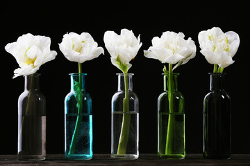 Obrazy na Szkle  Świeże tulipany w szklanych wazonach na czarnym tle