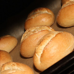 frische Brötchen...