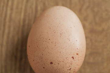Egg shell texture detail - 80629659