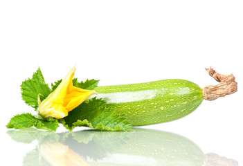 Vegetable marrow