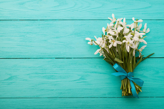 Snowdrops on blue wooden background