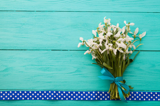 Snowdrops and polka dots ribbon on wooden background