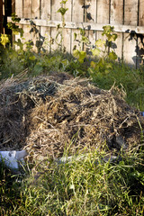 compost heap in a kitchen garden