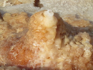 Danakil depression,hot springs,Ethiopia