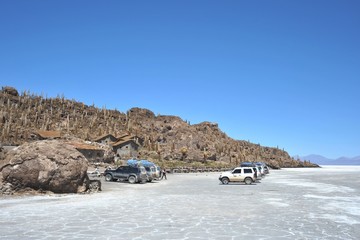 Island Inca Wasi - cactus island
