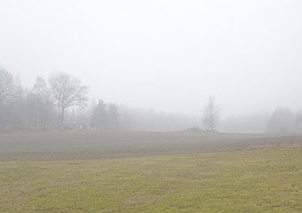 Obraz na płótnie Canvas Foggy rural landscape