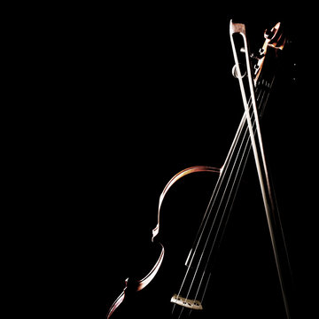 Violin bow musical instruments