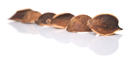 Potpourri materials of dried natural plants 