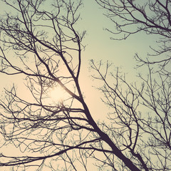 tree silhouette vintage retro