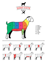 Goat Cuts Diagram