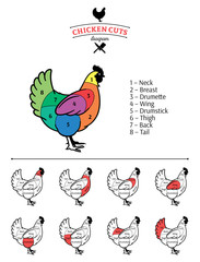 Chicken Cuts Diagram