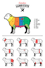 Australian Lamb Cuts Diagram