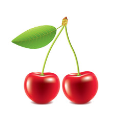 Cherry isolated on white vector