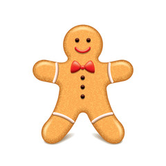 Christmas cookie isolated on white vector