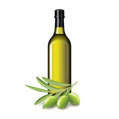 Olive oil bottle and olives isolated vector