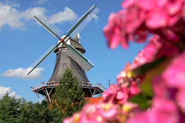 Fototapete bei efototapeten.de bestellen   