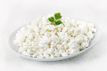 Curd cheese on white plate
