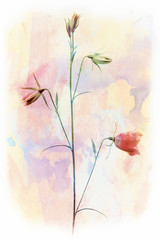 Painting of bellflower in wonderful colors