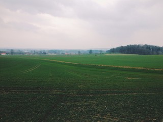 zielone pole na wsi