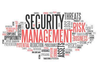 Word Cloud Security Management