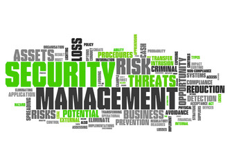 Fototapeta premium Word Cloud Security Management