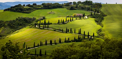 Fotobehang Toscane, cipressenweg in de prachtige groene heuvels, italië © ronnybas