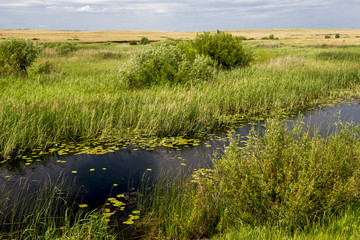 Поселение Аркаим.  Река Караганка.