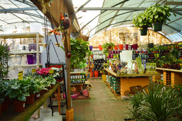 greenhouse