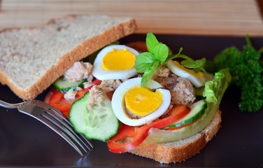 Fototapeta na wymiar Rye bread sandwich with tuna fish, tomato and cucumber slices