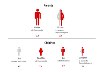 Hemophilia inheritance