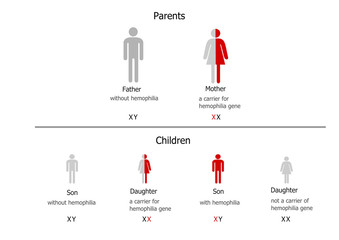 Hemophilia inheritance