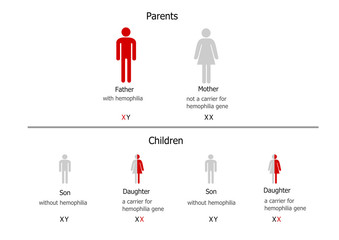 Hemophilia inheritance