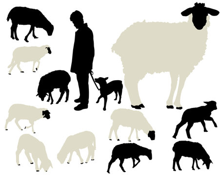 Sheep Vector Silhouettes