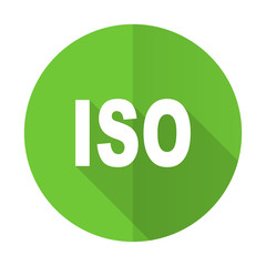 iso green flat icon