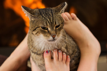 cat and feet in front of the fireplace