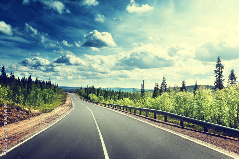 Wall mural road in north forest