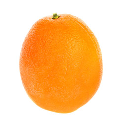Citrus Orange