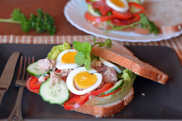 Rye bread sandwich with tuna fish, eggs, tomato and cucumber
