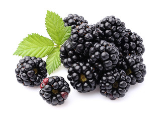 Blackberry with leaves