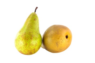 Pear varieties Conference