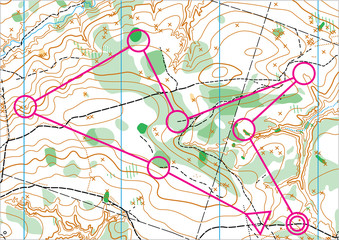 Topographic vector map