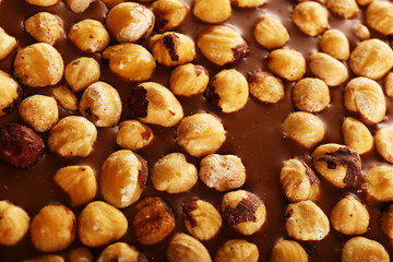 Milk chocolate bar with hazelnuts close up