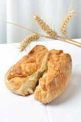 pane spezzato e spighe