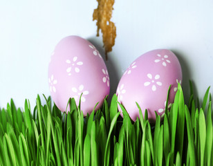 Easter eggs and grass on wooden background