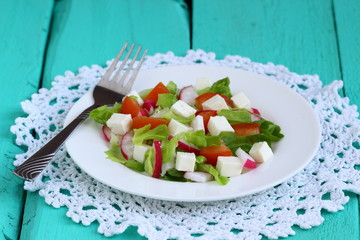 Fresh salad of cheese, tomato, peppers, radishes;