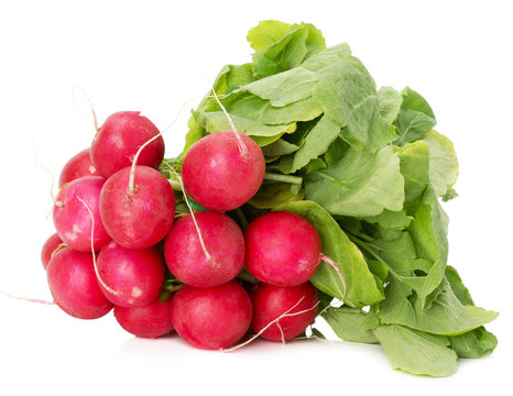 bunch of radishes isolated on a white background