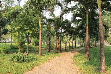 Obraz premium ルンピニ公園